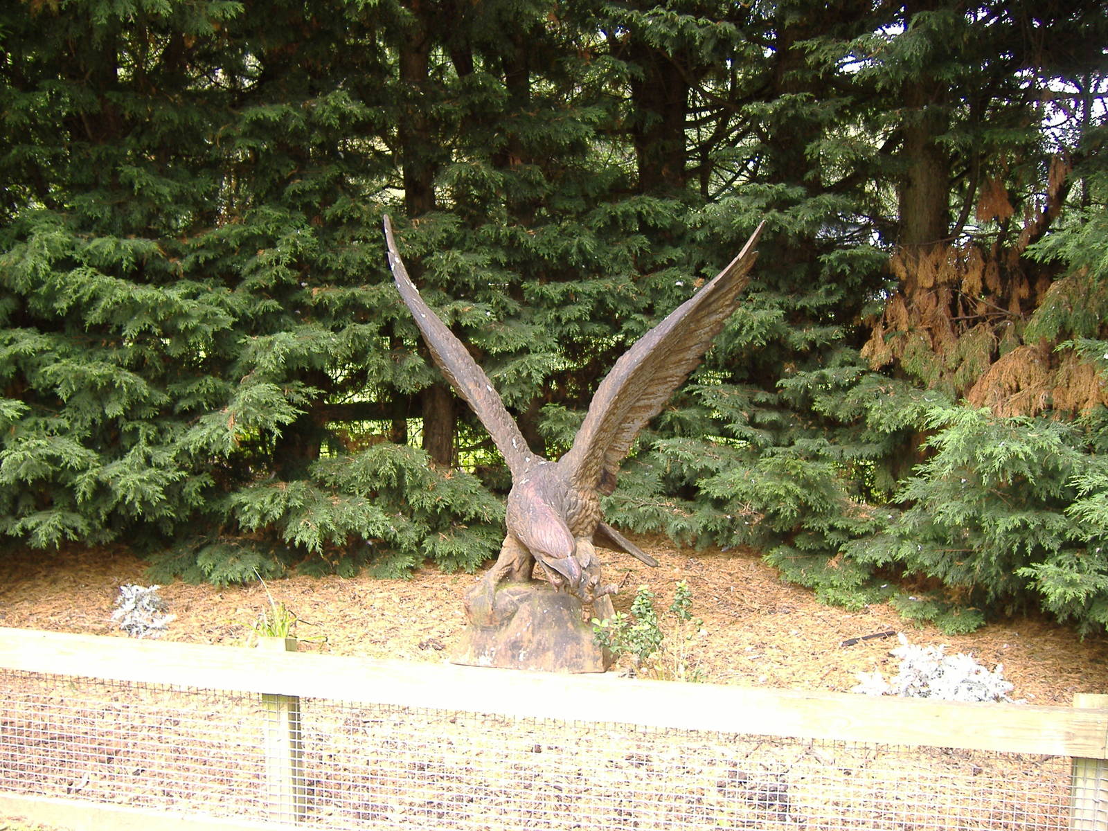 Statue at Linton Zoo, 11 September 2010
