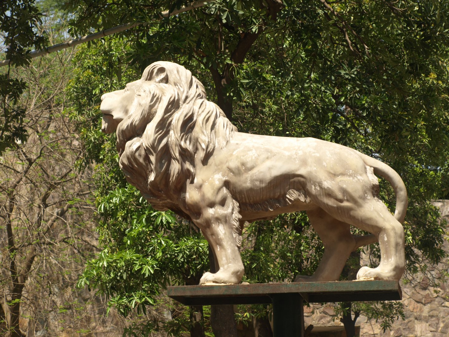 Statue at Lion house entrance - Lahore zoo 8/4/2017