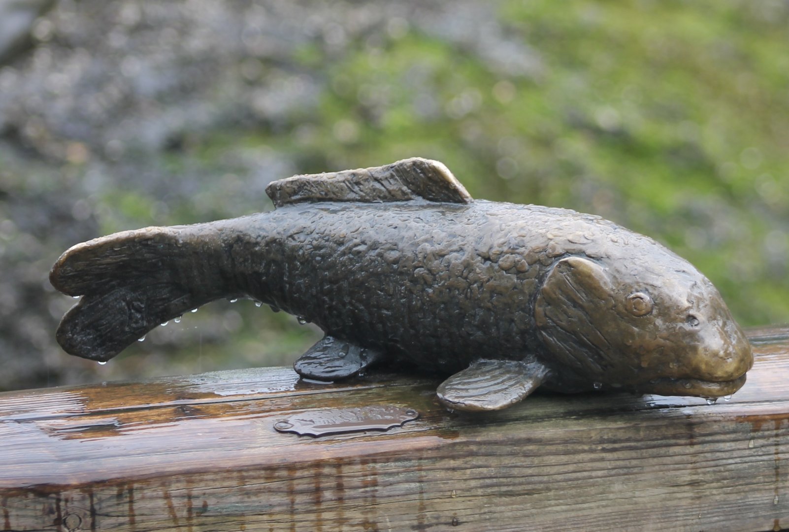 Statue Koi-carp