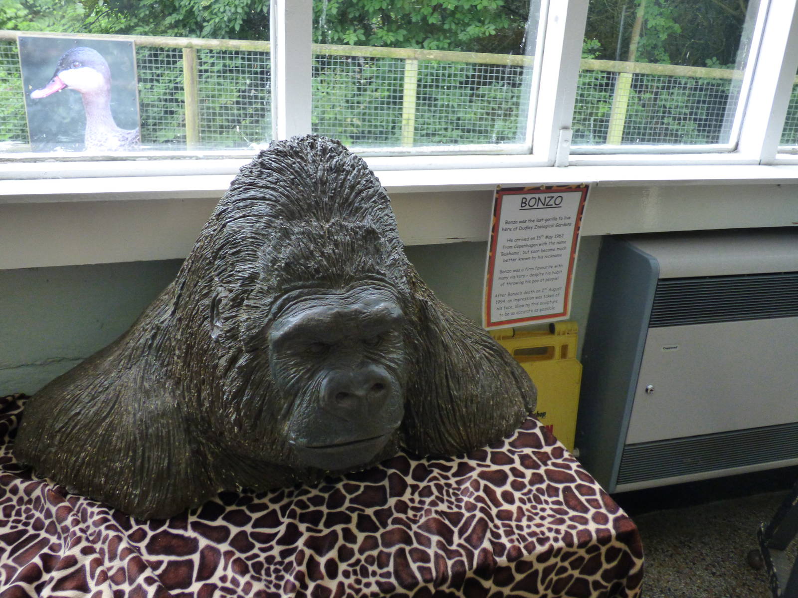 Statue of Bonzo the Gorilla