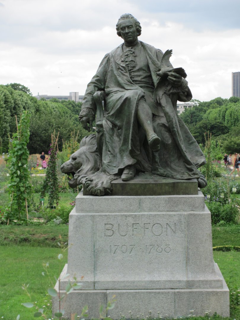 Statue Of Buffon