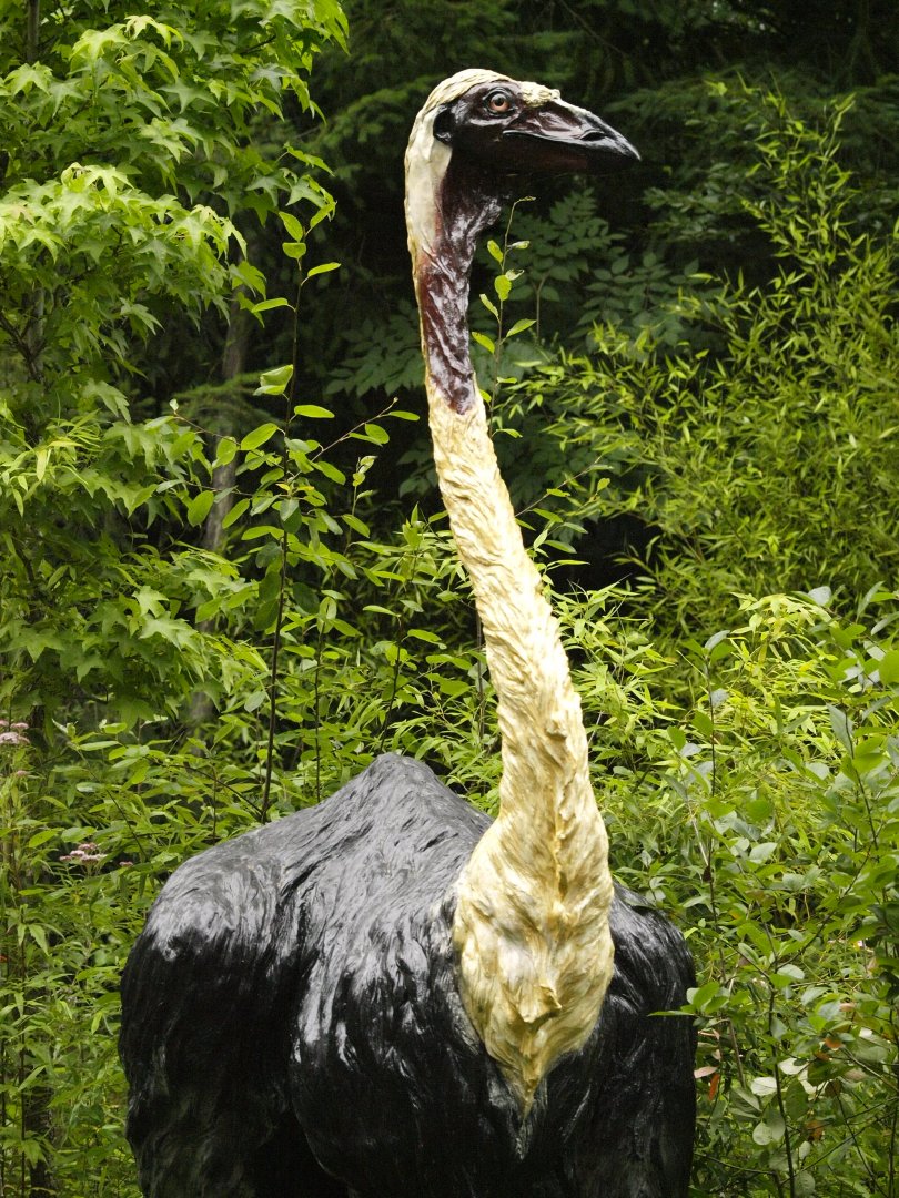 Statue of elephant bird