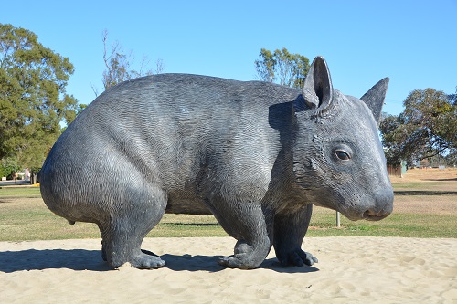 Statue of Northern Hairy-nosed wombat.  Thallon, Queensland