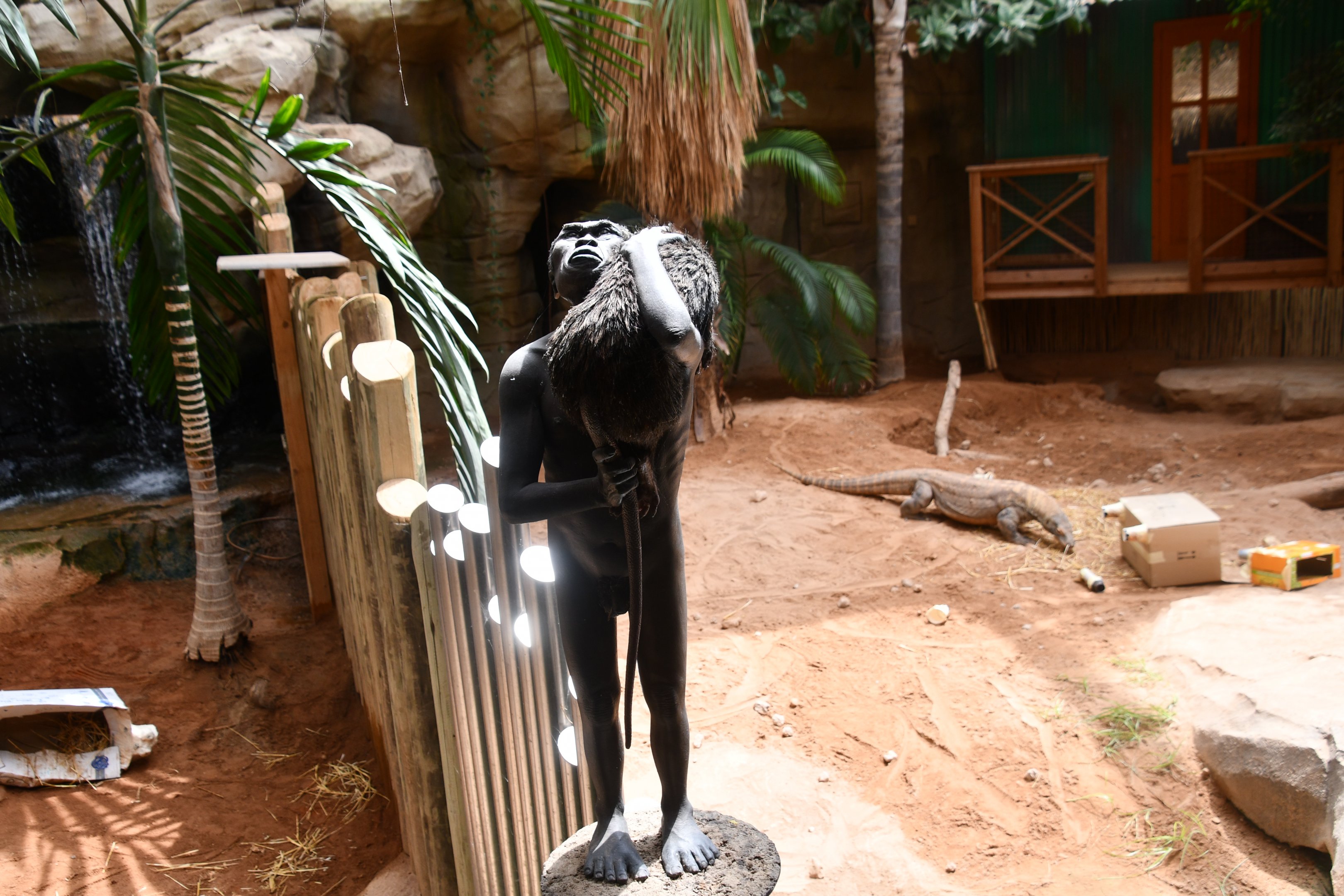 statue of prehistoric Flores human species with Flores giant rat (House of Giants, between the two Komodo Dragon exhibits)