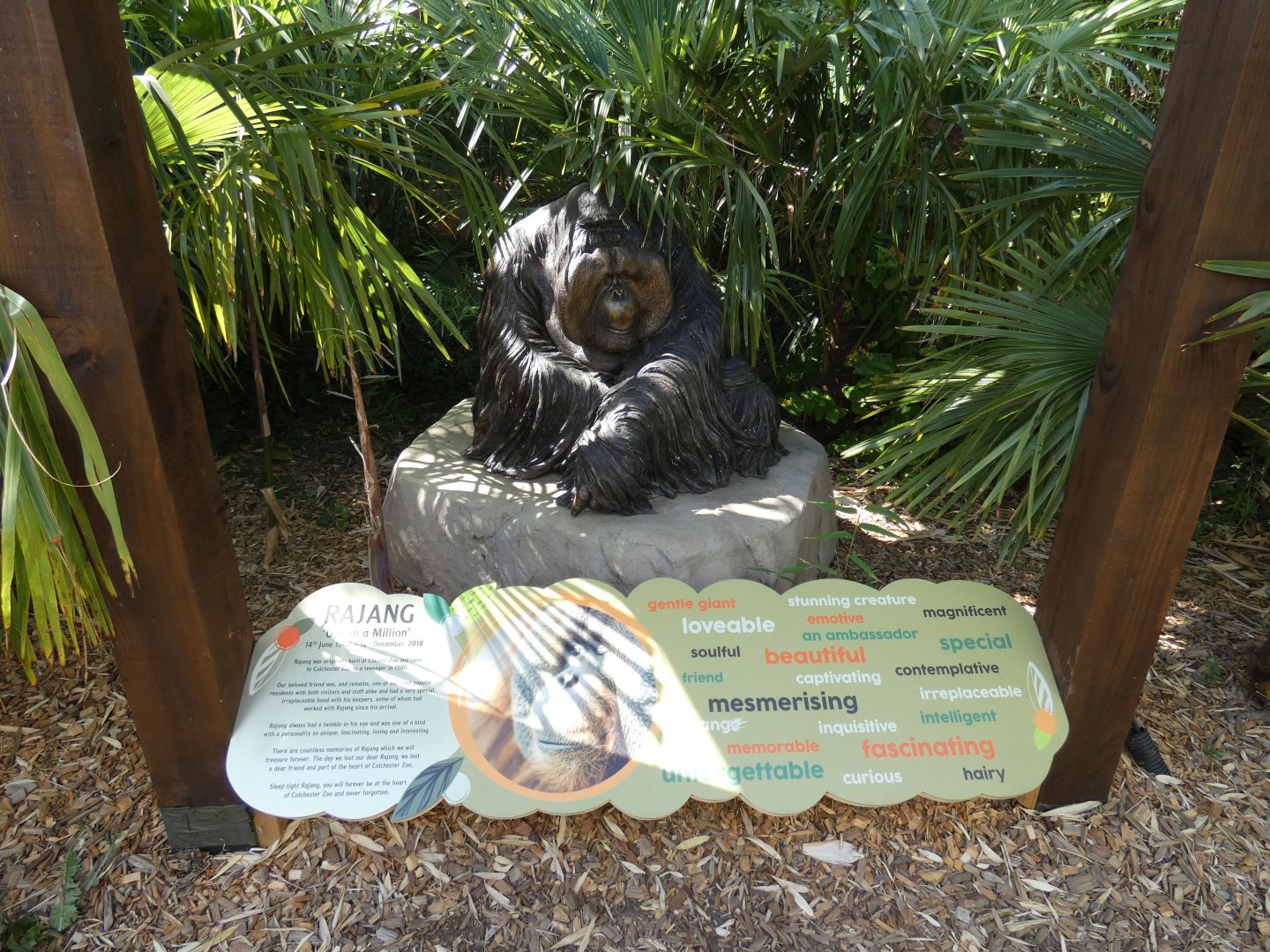 Statue of Rajang the hybrid Orangutan