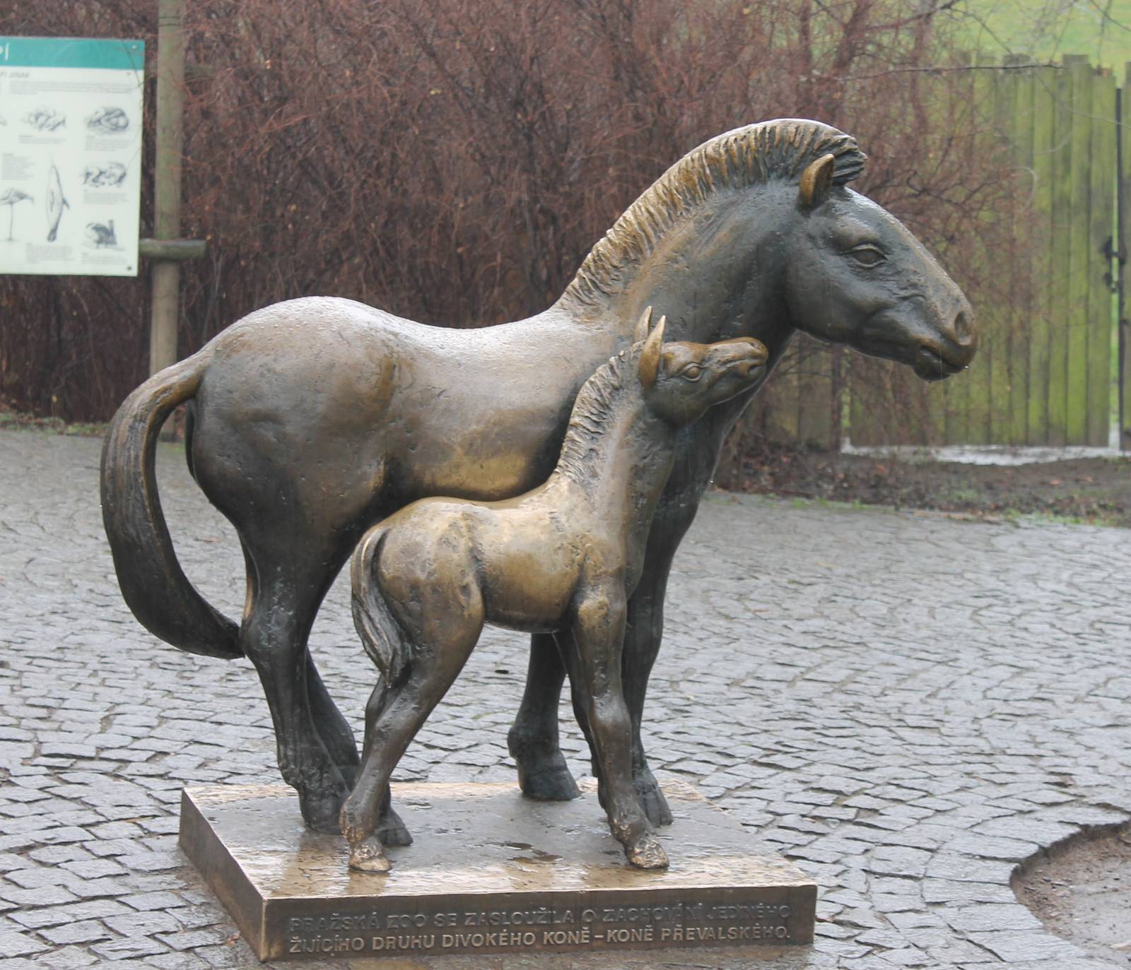 Statue Przewalski horses