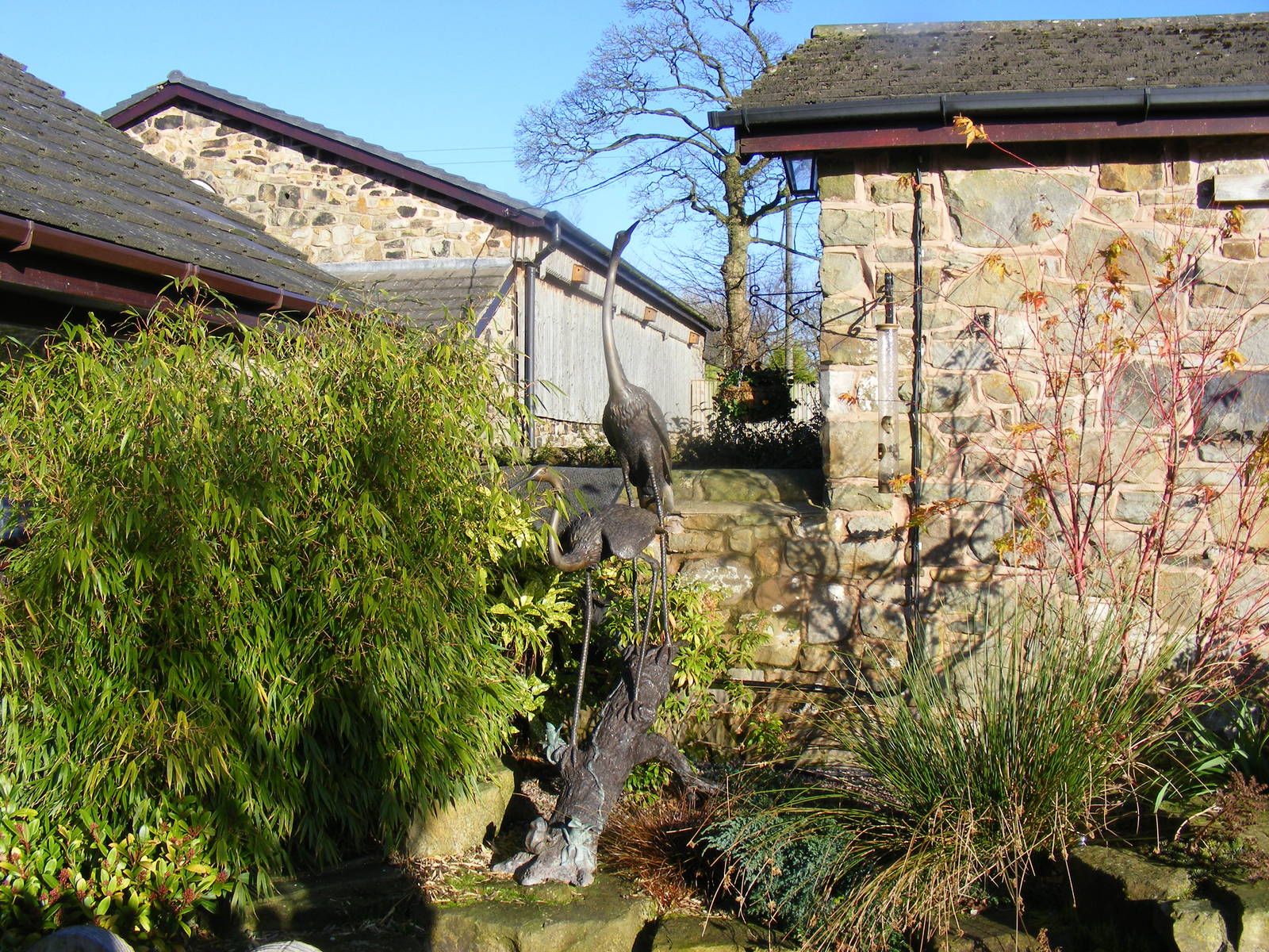 Statues at Blackbrook Zoo, 13 November 2010