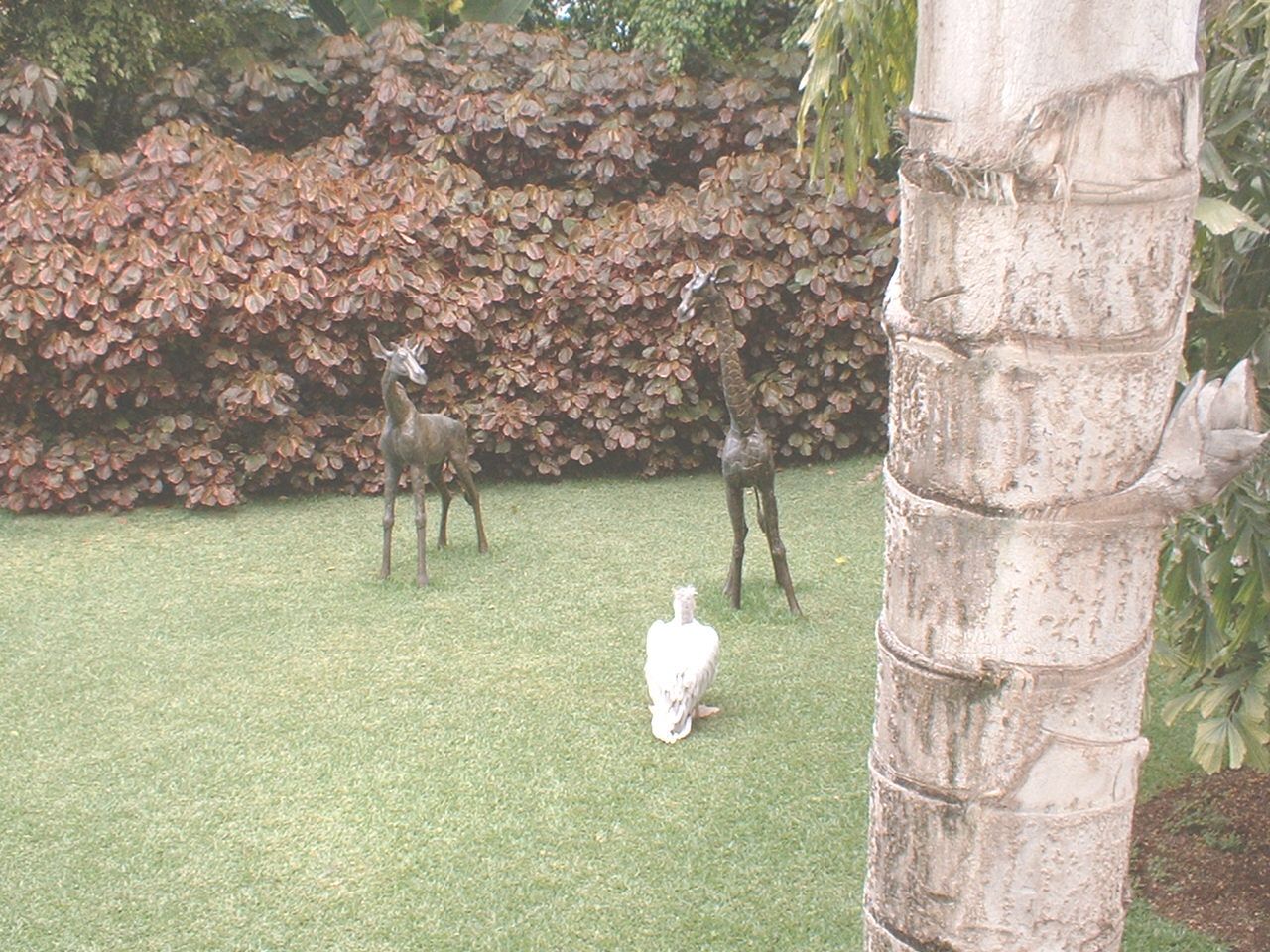 Statues at Loro Parque, 21 May 2004