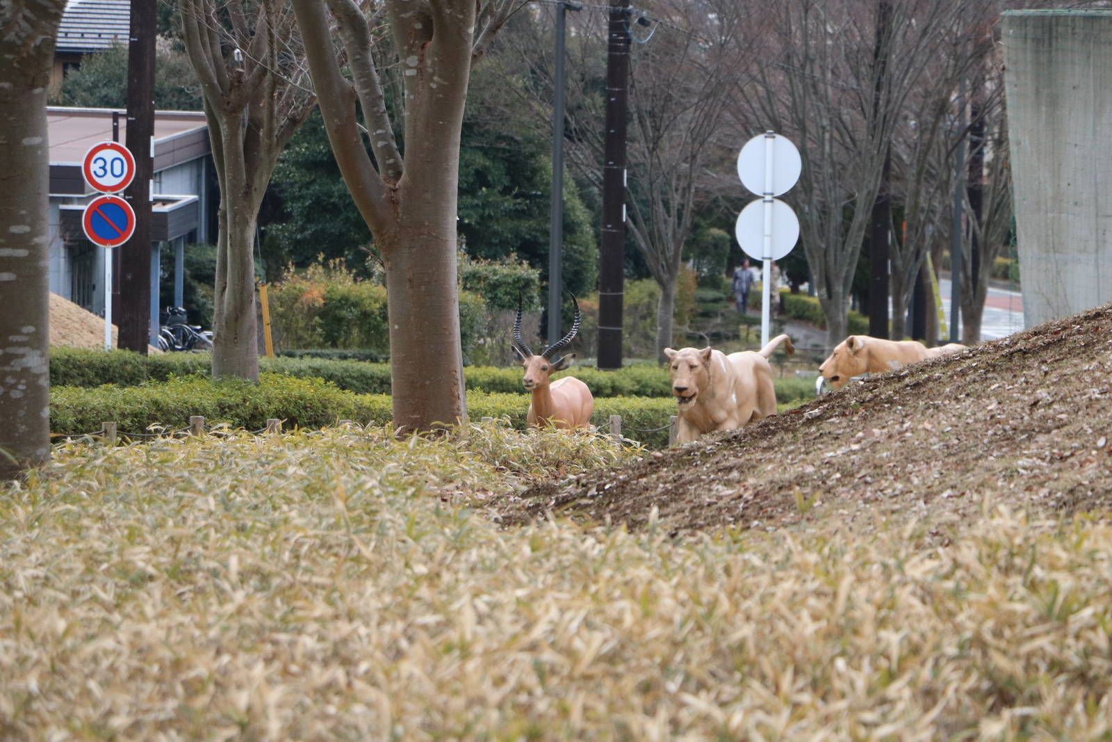 Statues outside the zoo, February 2016.