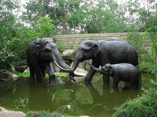 Statues, Singapore Zoo