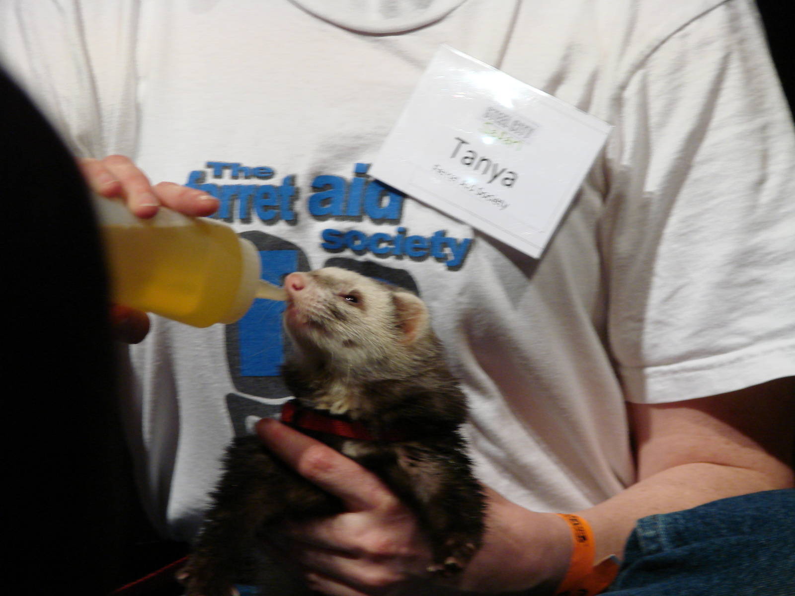 Steel City Safari - November 15th, 2009