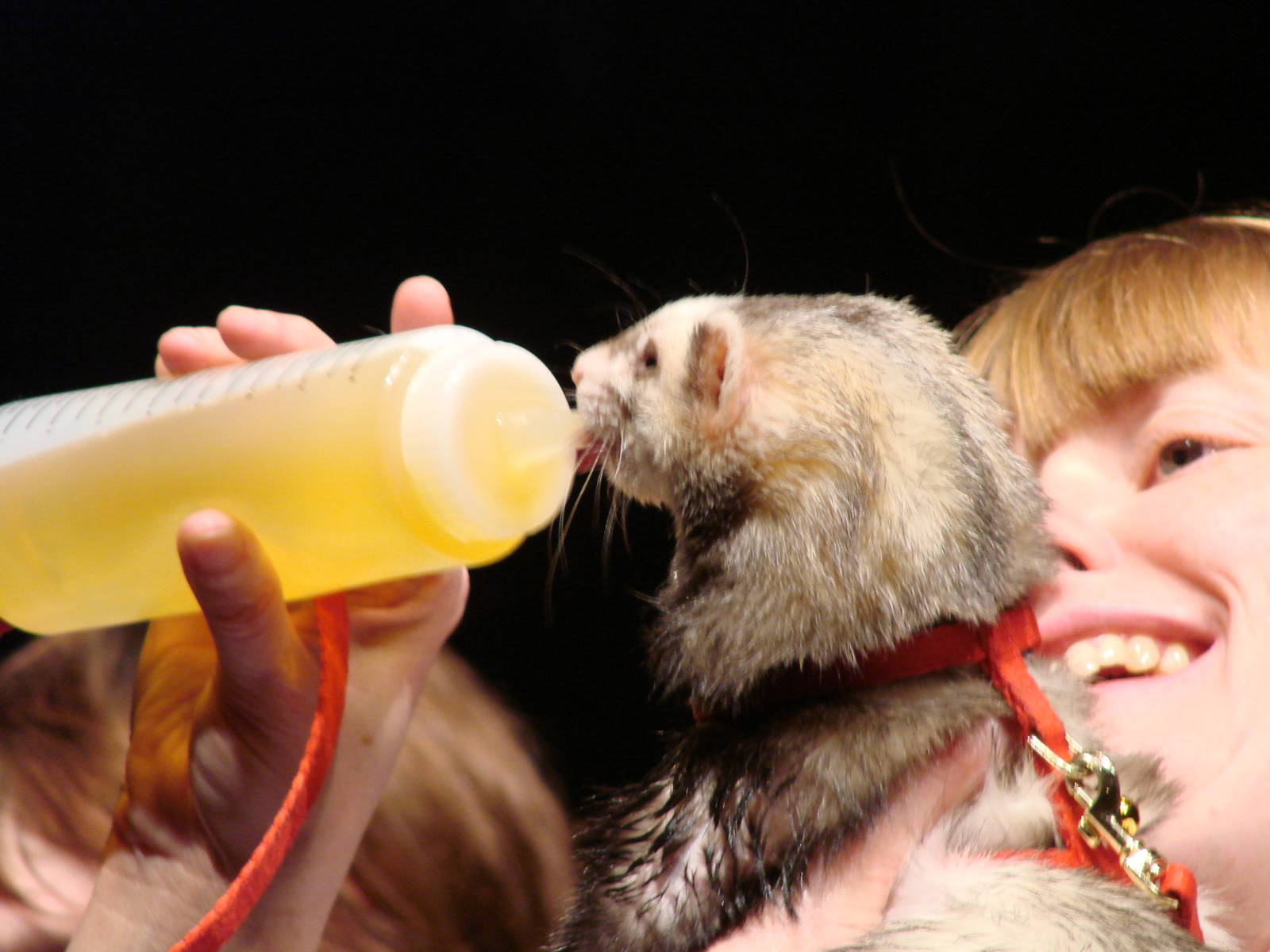 Steel City Safari - November 15th, 2009