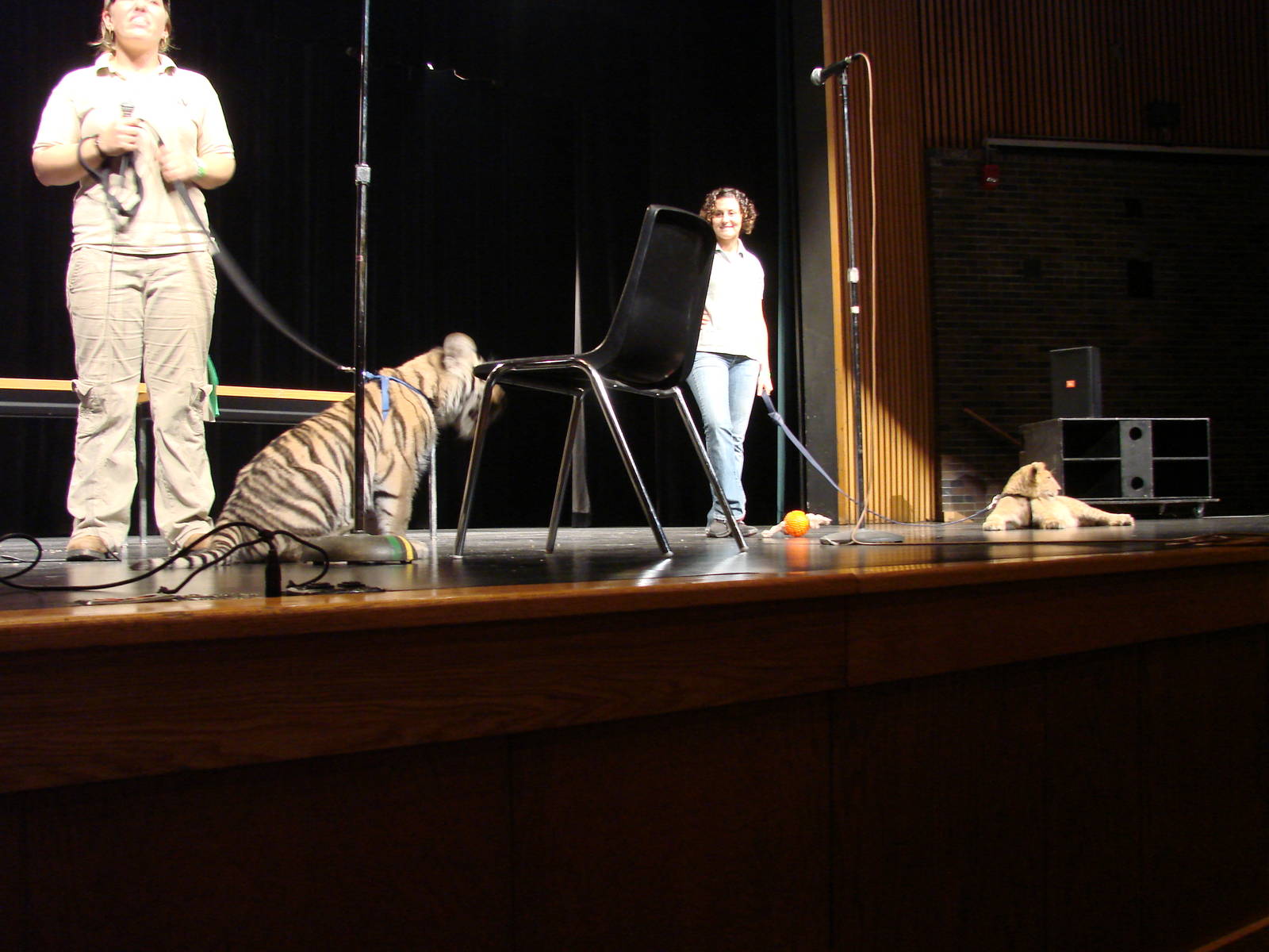 Steel City Safari - November 15th, 2009