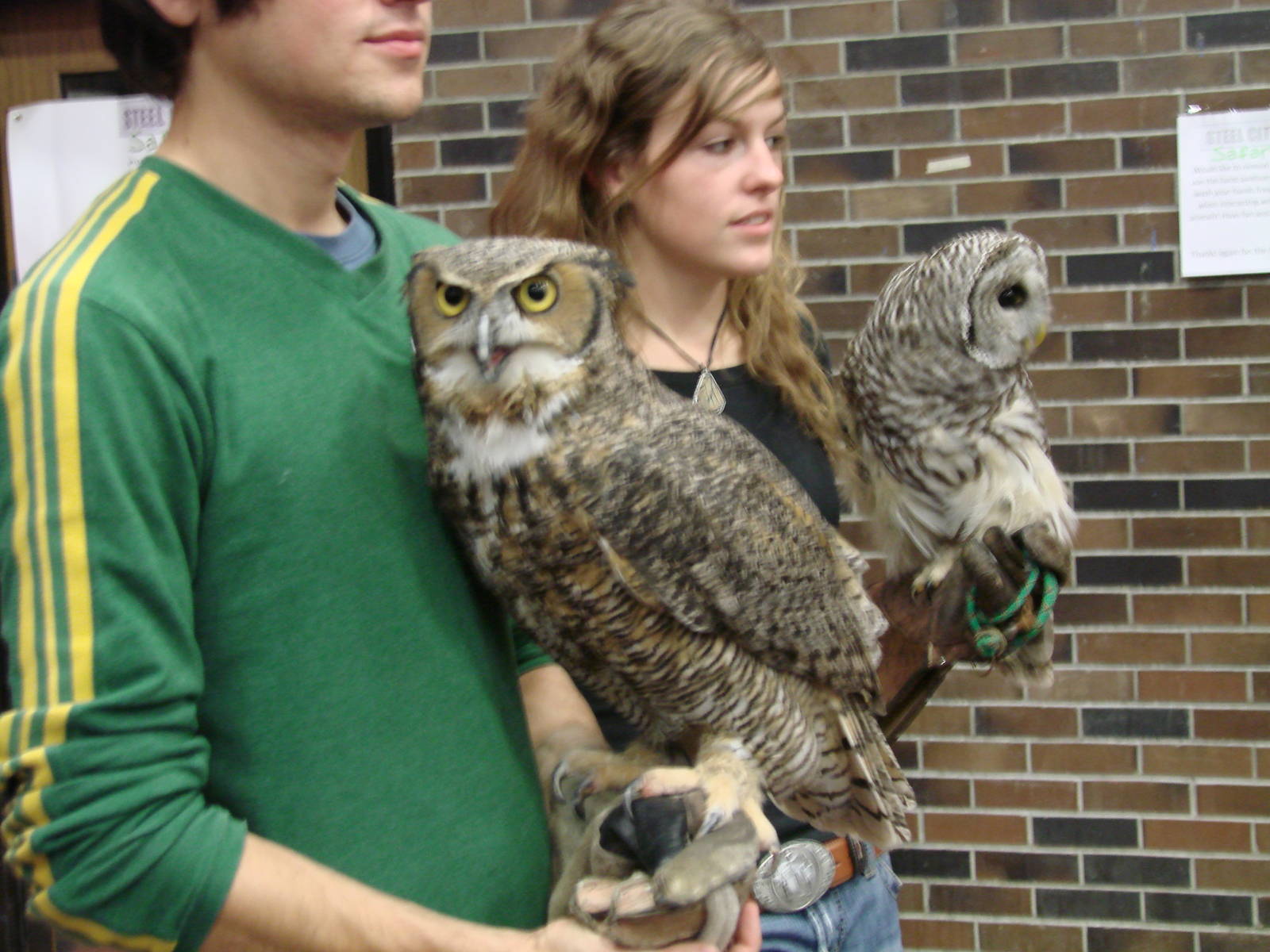 Steel City Safari - November 15th, 2009