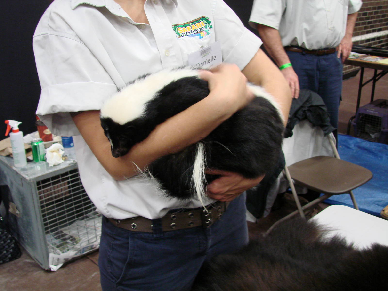 Steel City Safari - November 15th, 2009