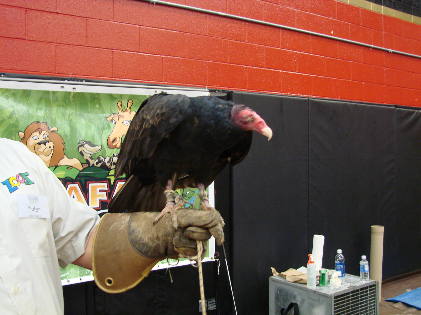 Steel City Safari - November 15th, 2009