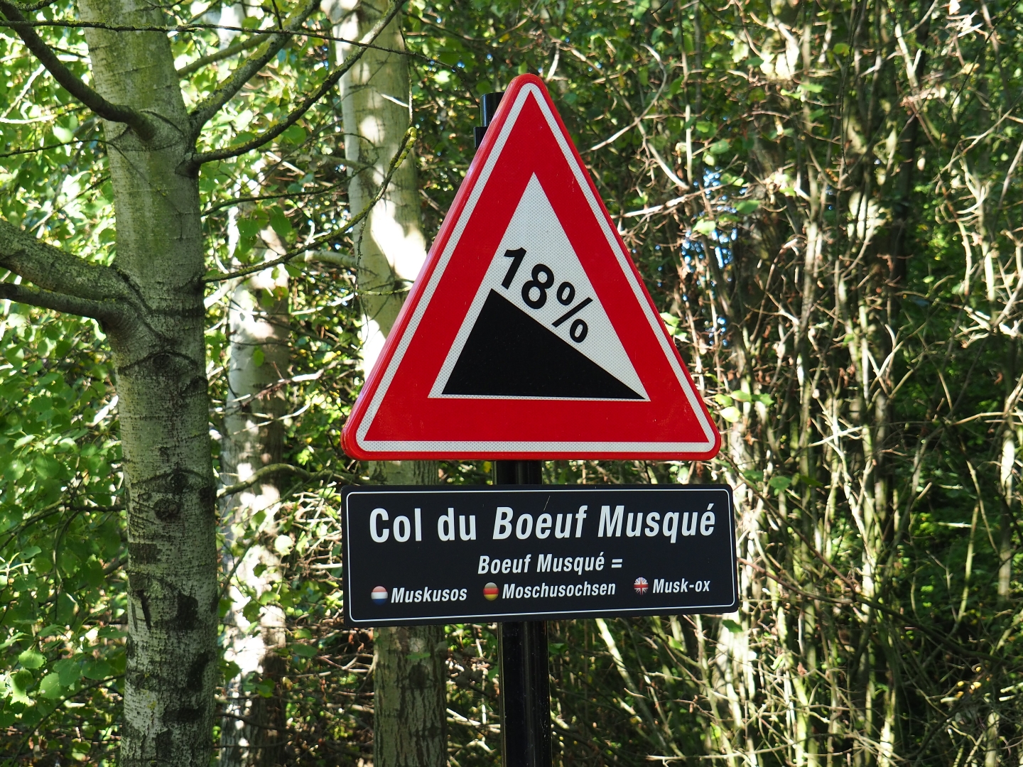 Steep slope sign (Oct 13th, 2018)