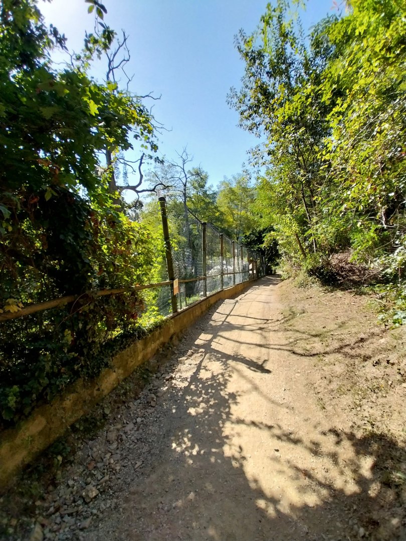 Steep visitor's path along Eurasian lynx enclosure