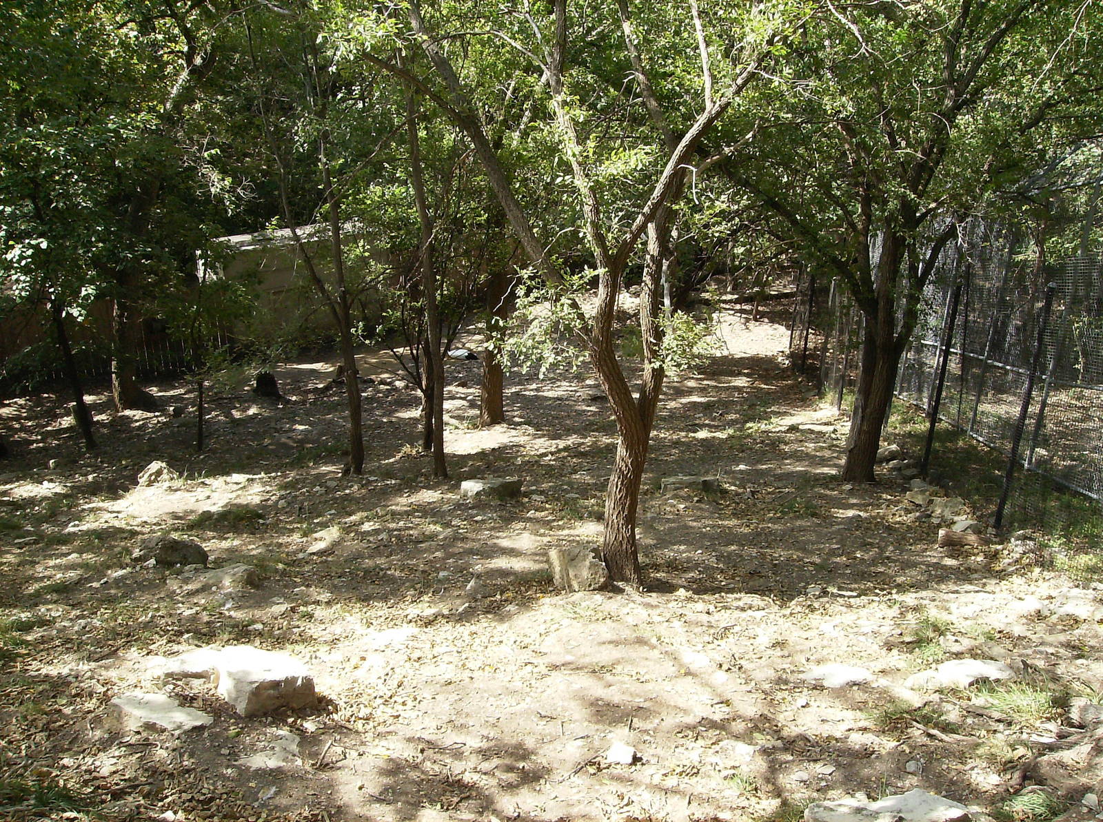 Steep yard for red-Crowned crane and Tufted Deer