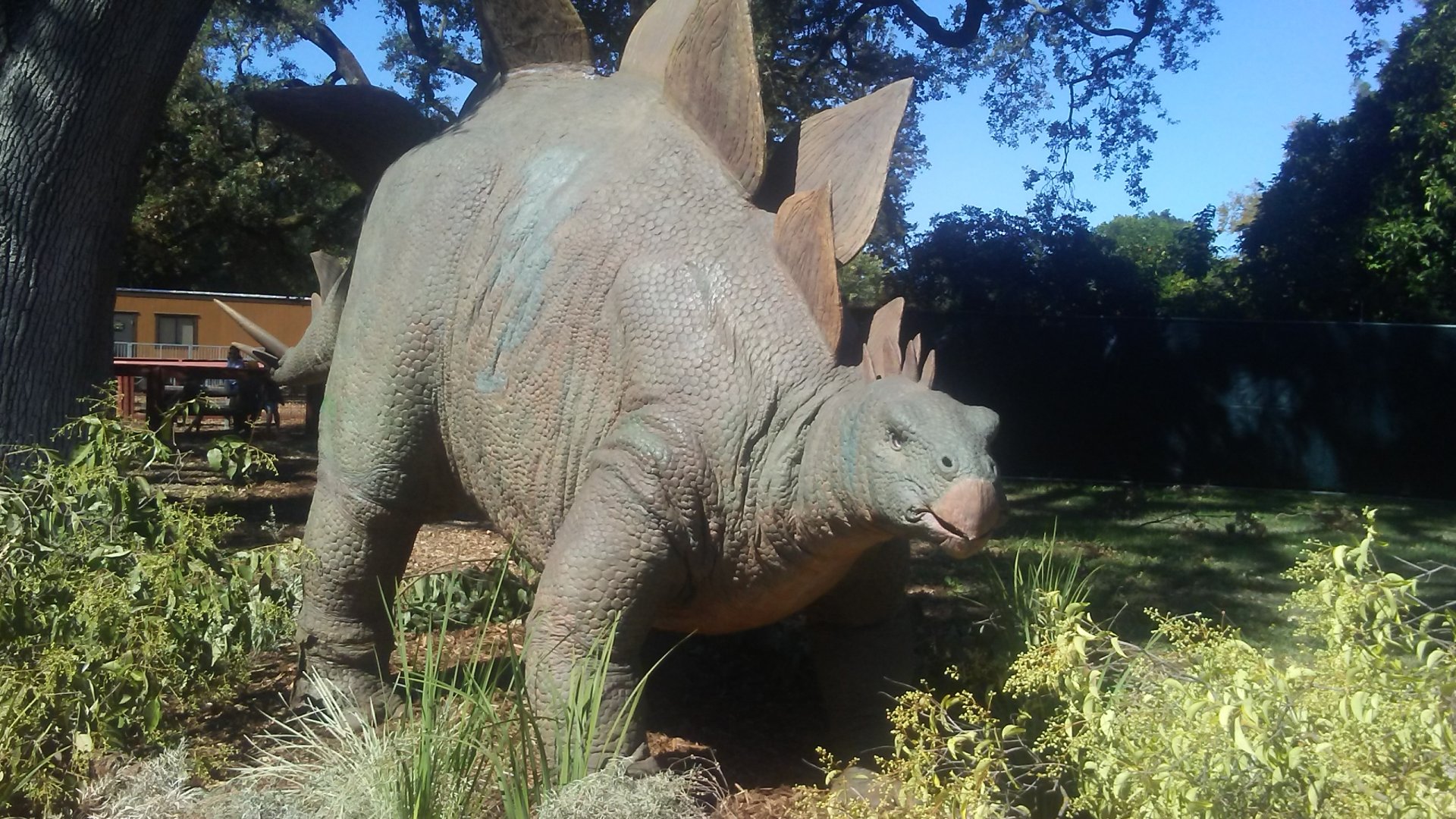 "Stegosaurus" animatronic