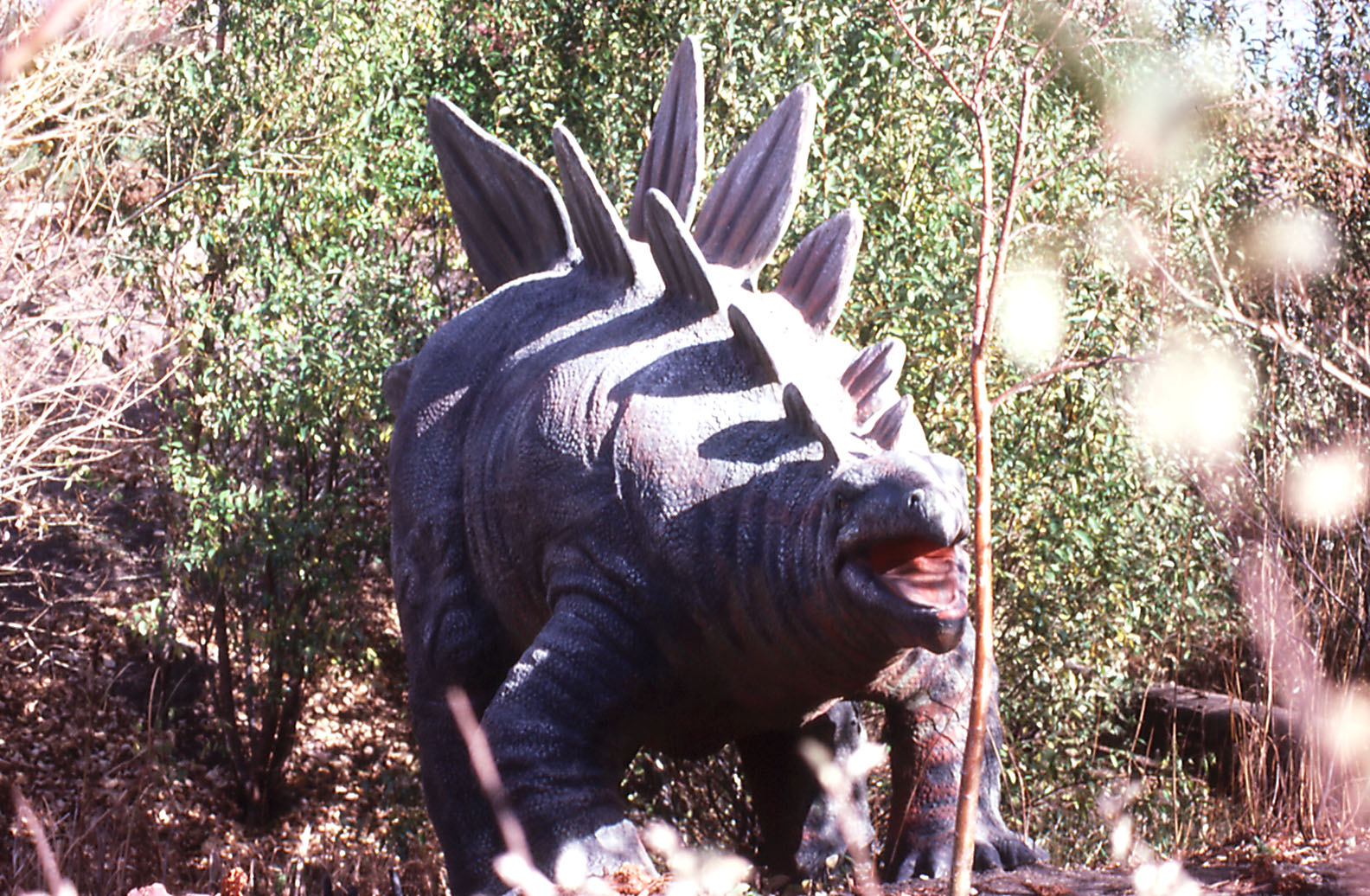Stegosaurus, Prehistoric Park - 1987