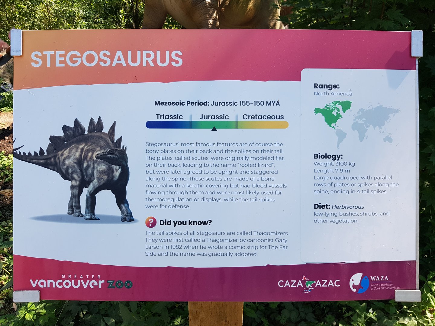 Stegosaurus Sign