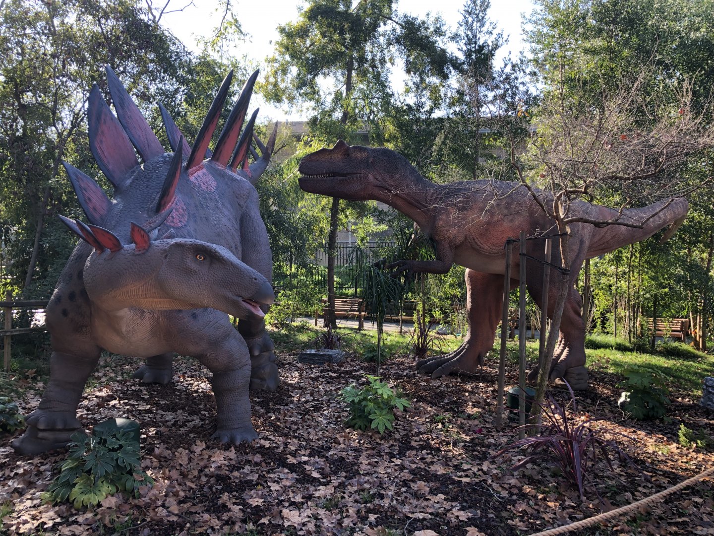 Stegosaurus vs Allosaurus animatronics (new & temporary)