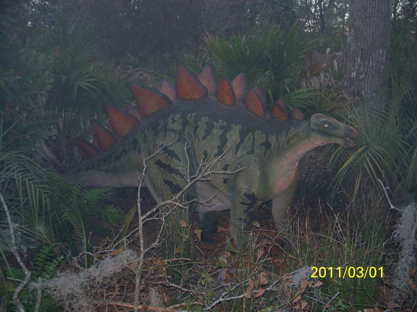Stegosaurus