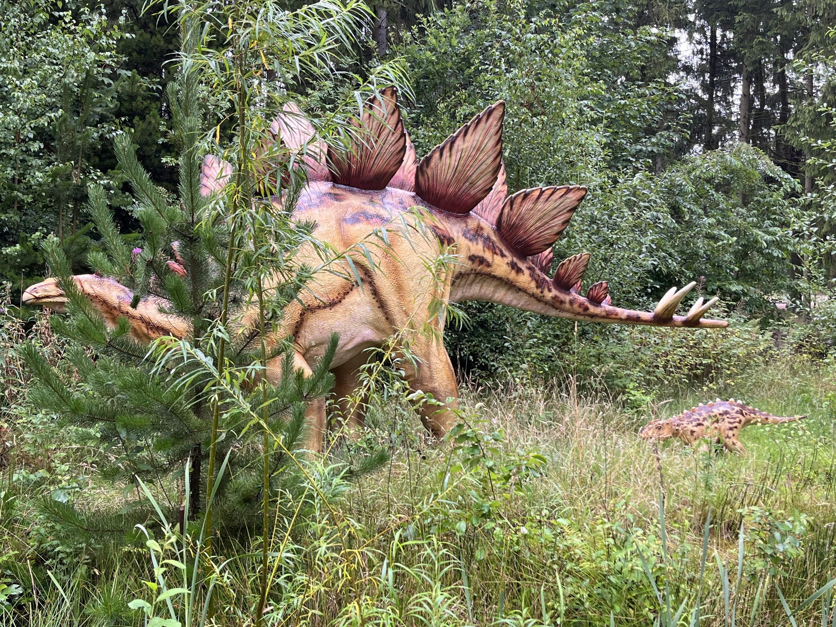 Stegosaurus