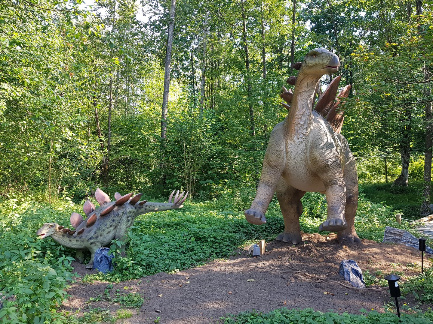 Stegosauruses