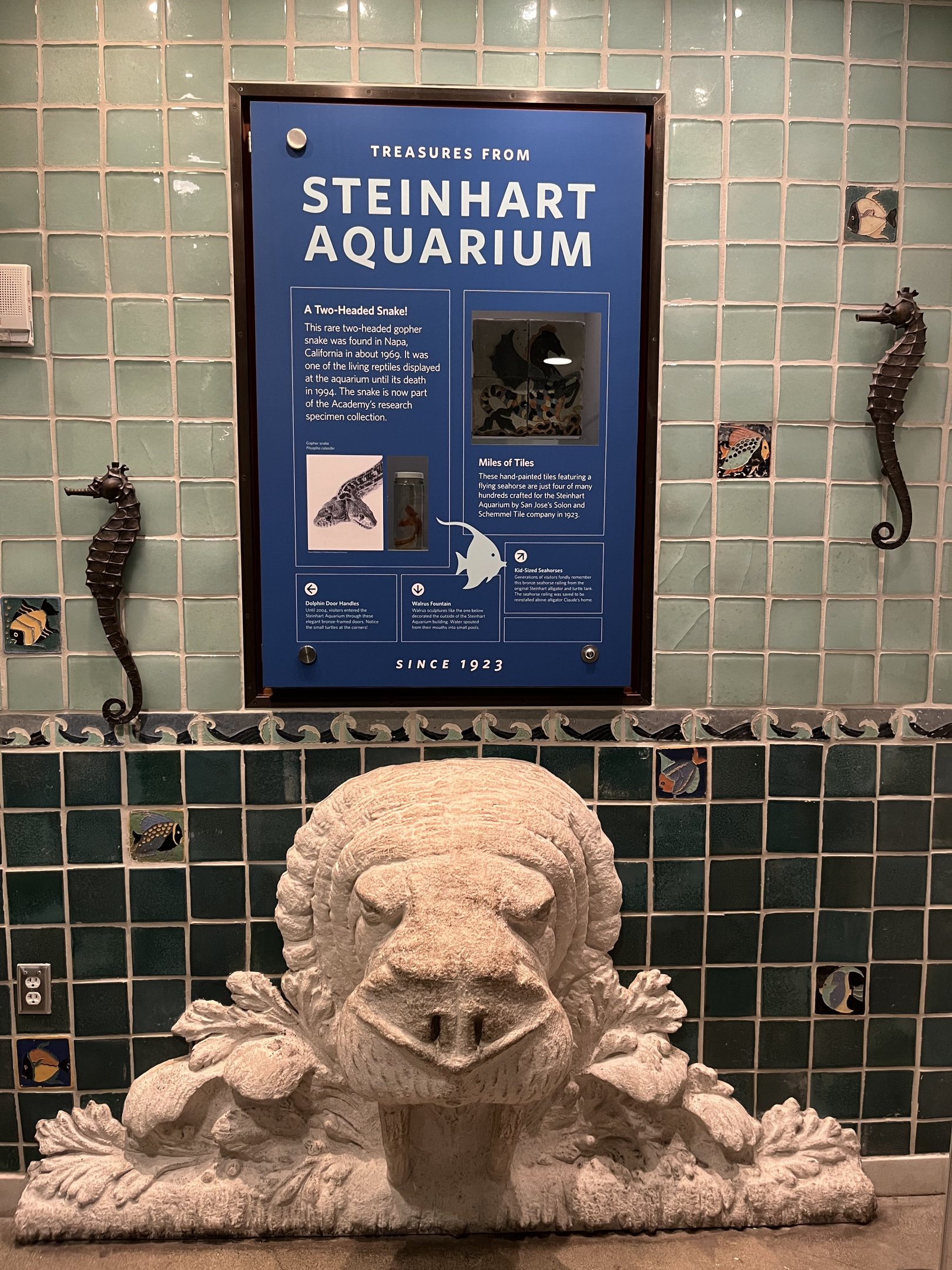 Steinhart Aquarium Artifacts