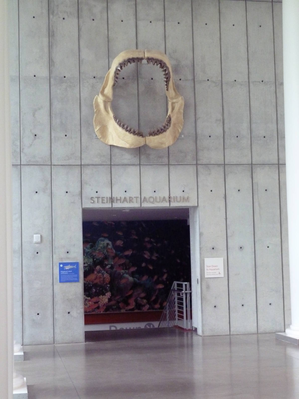 Steinhart Aquarium Entrance