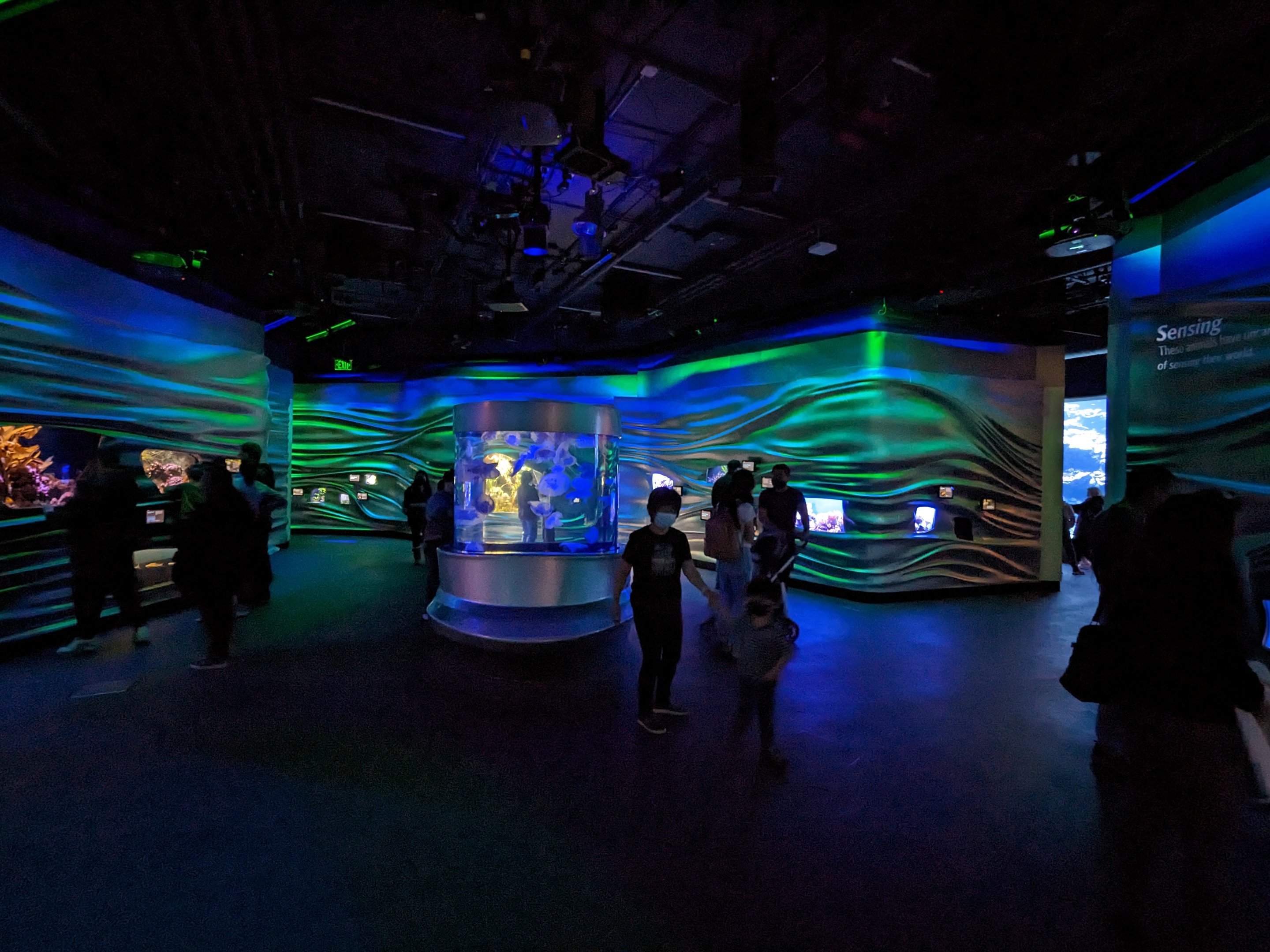 Steinhart Aquarium - gallery view