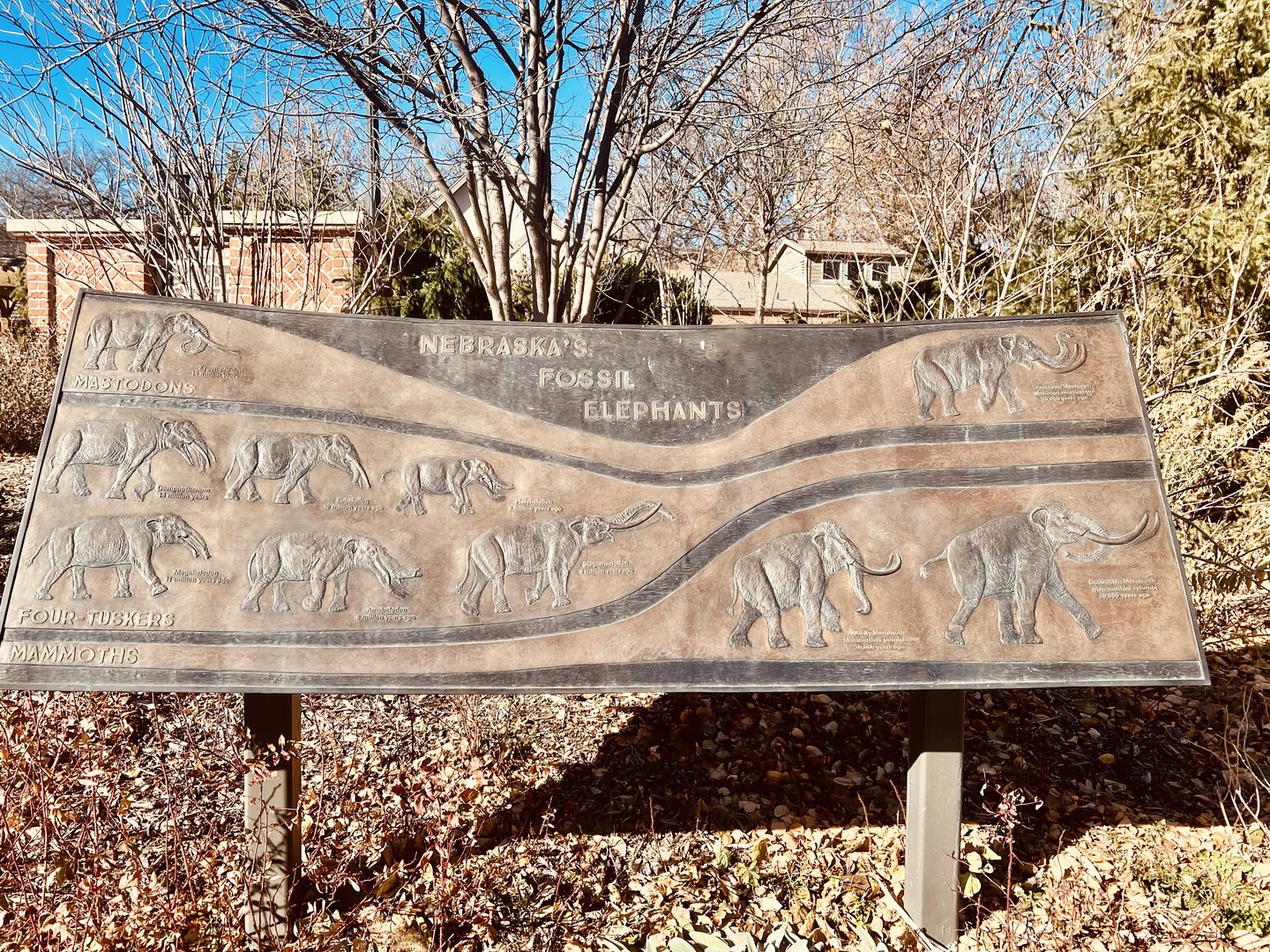 Stele depicting extinct Elephant like animals of Nebraska
