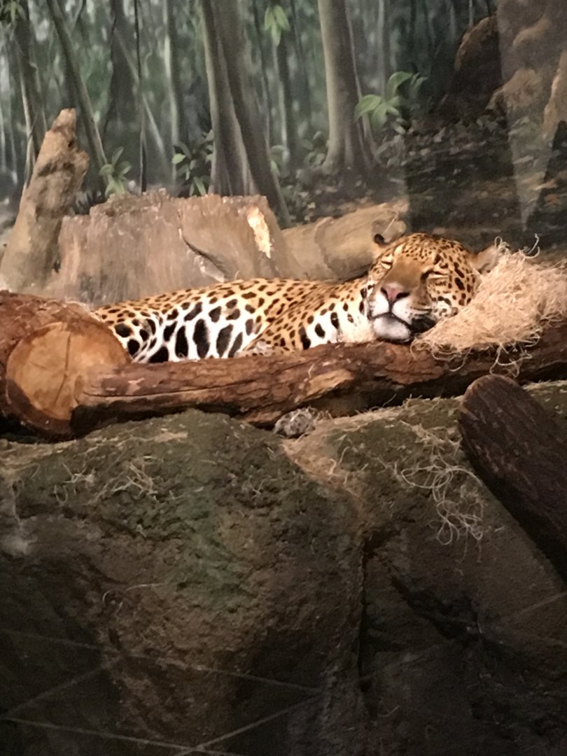 Stella | Milwaukee County Zoo