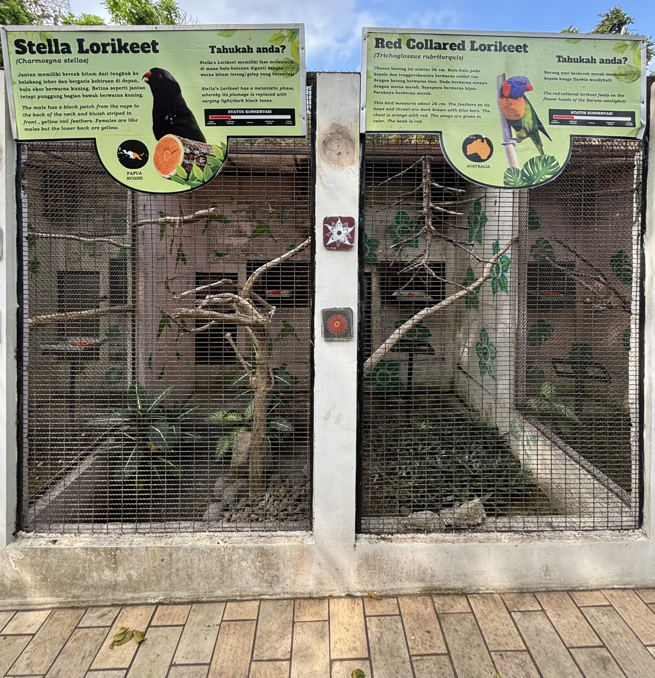 Stella + Red-collared Lorikeet Aviaries
