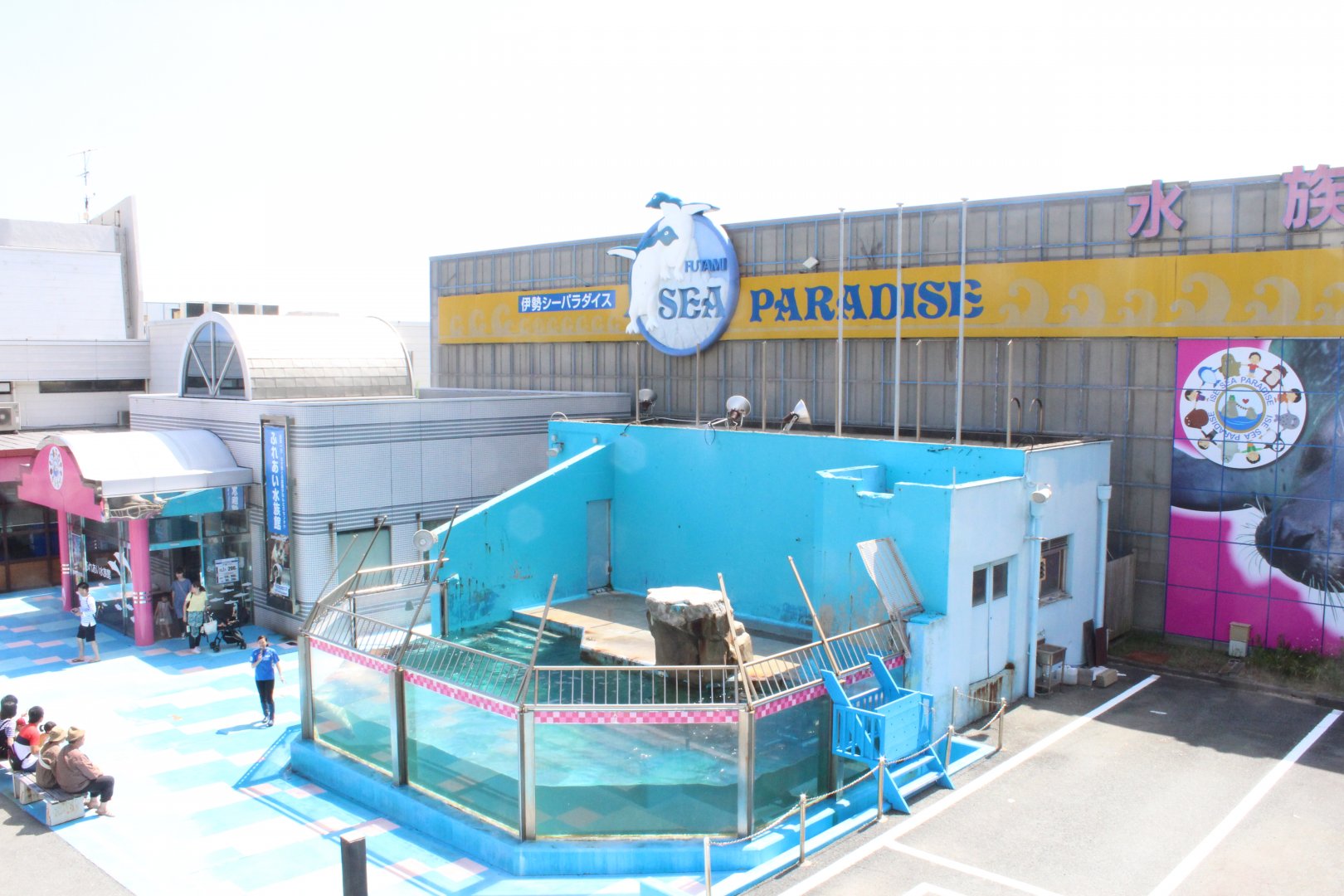 Stellar sea lion exhibit