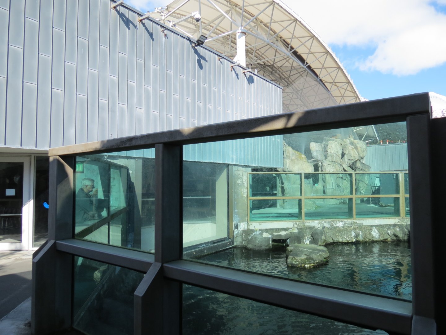 Stellar Sea Lion Habitat - Outdoor Viewing Area