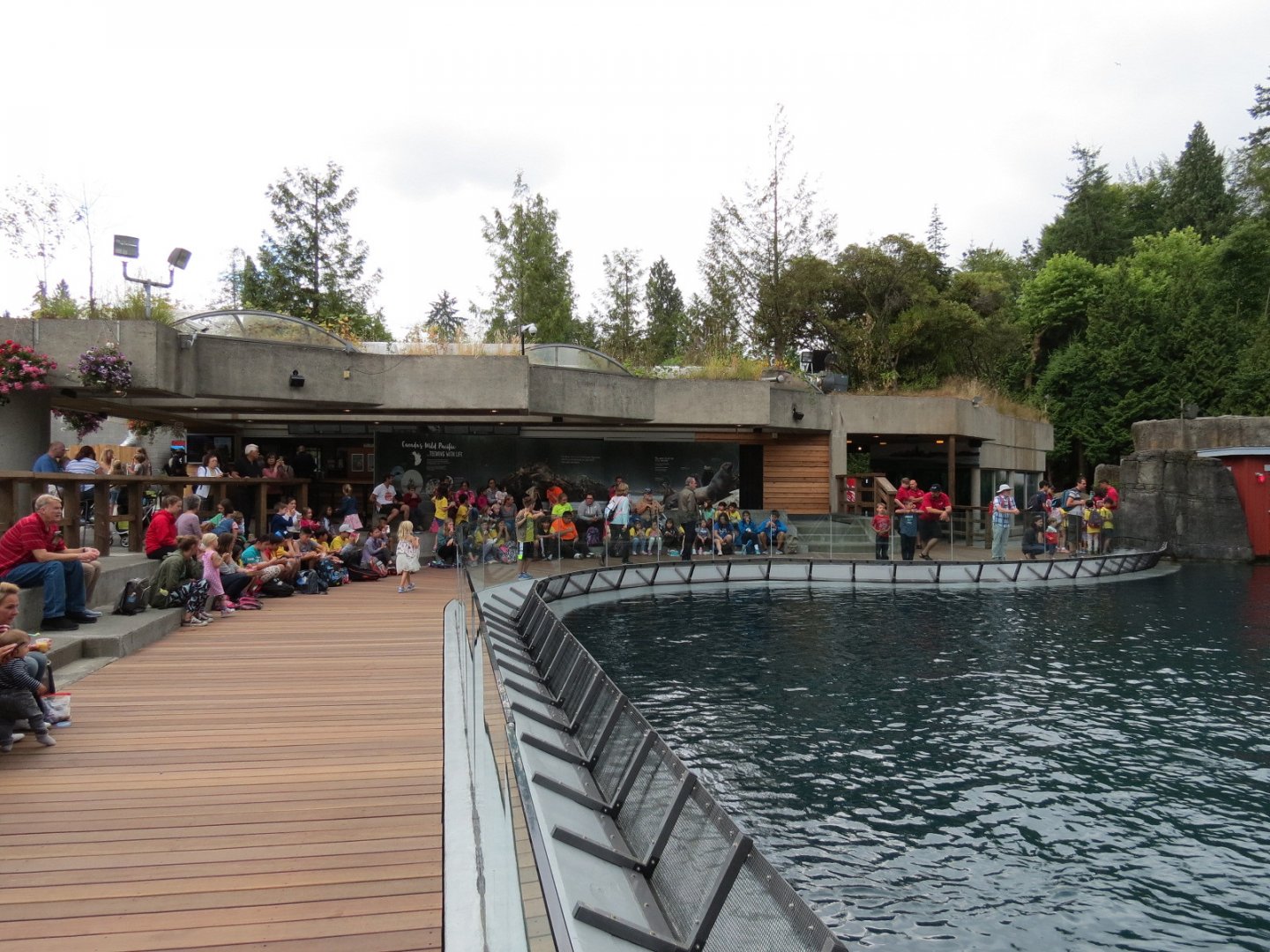 Stellar's Bay - Stellar's Sea Lion Exhibit