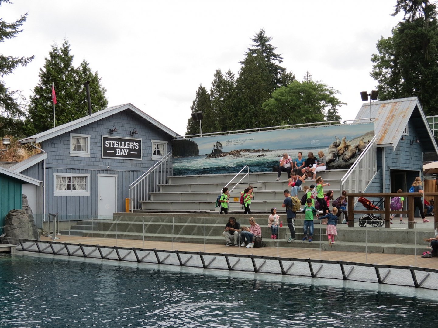 Stellar's Bay - Stellar's Sea Lion Exhibit
