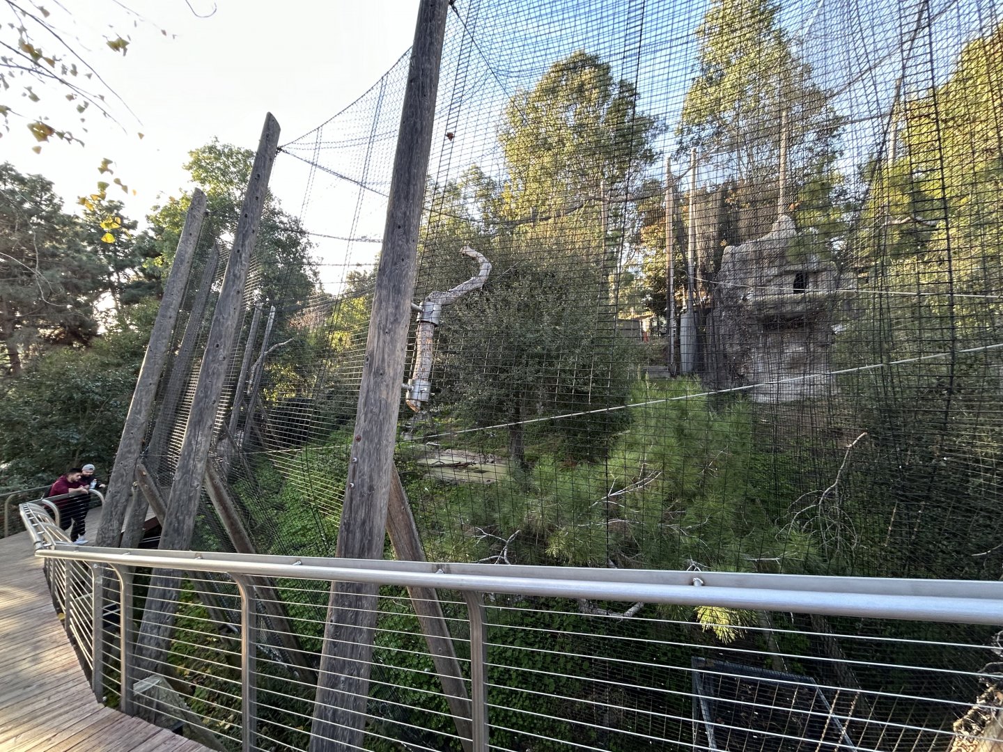 Stellar’s Sea Eagle Aviary - Eagle Trail