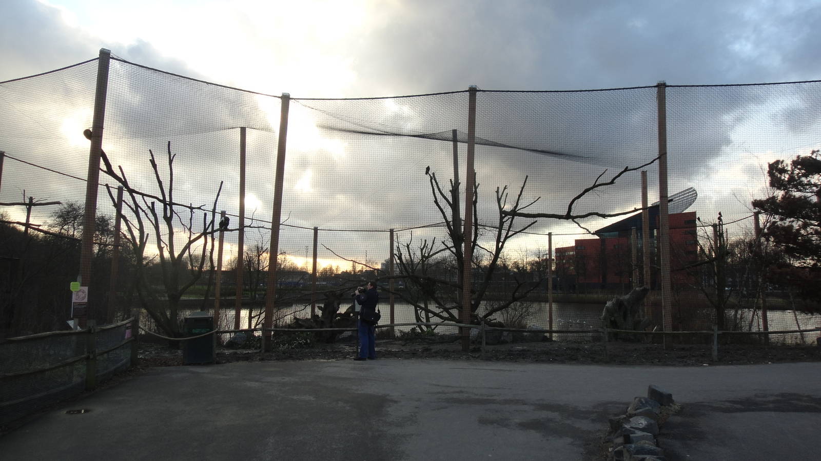Stellar's Sea Eagle Aviary