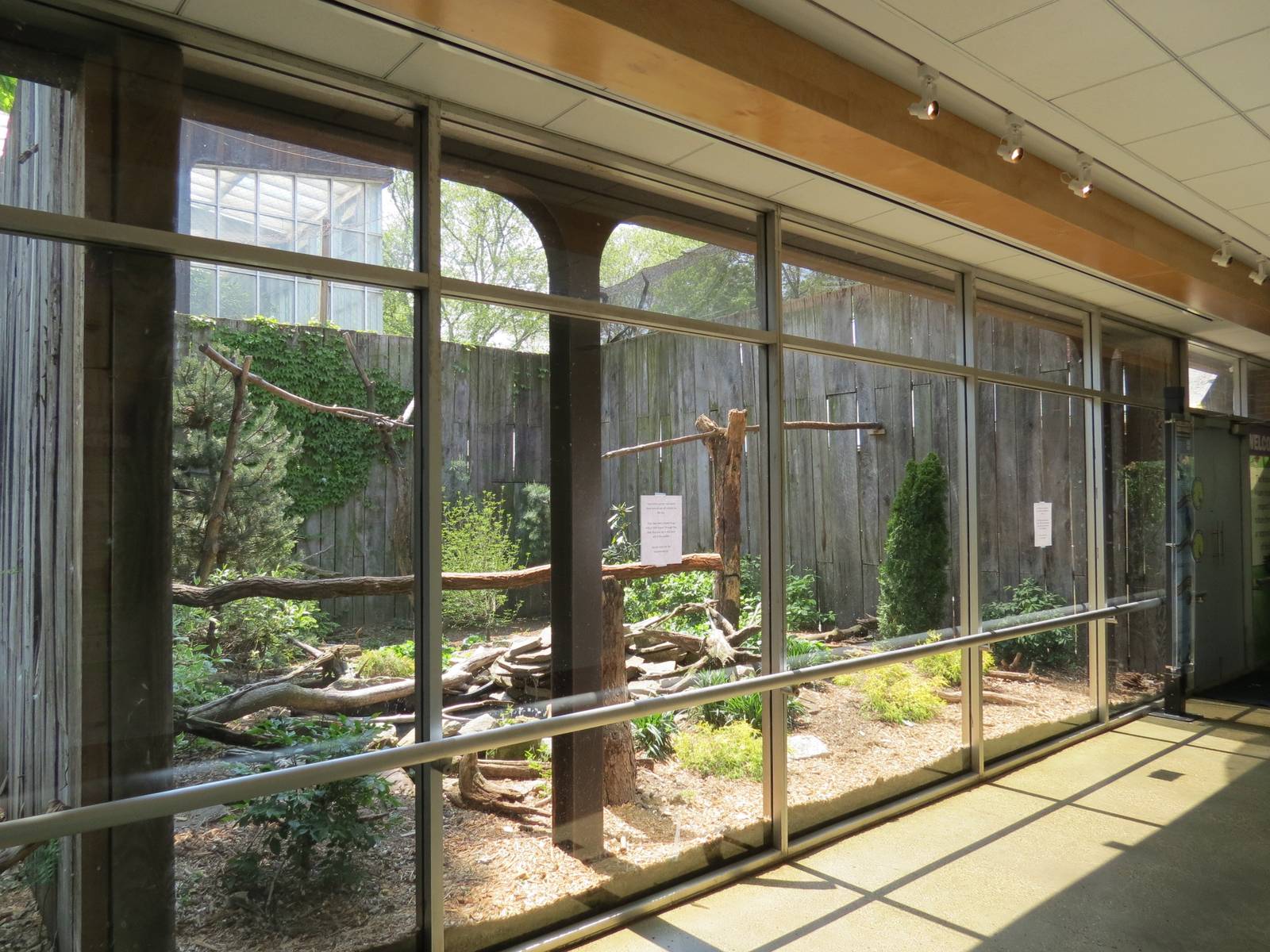 Stellar's Sea Eagle Exhibit