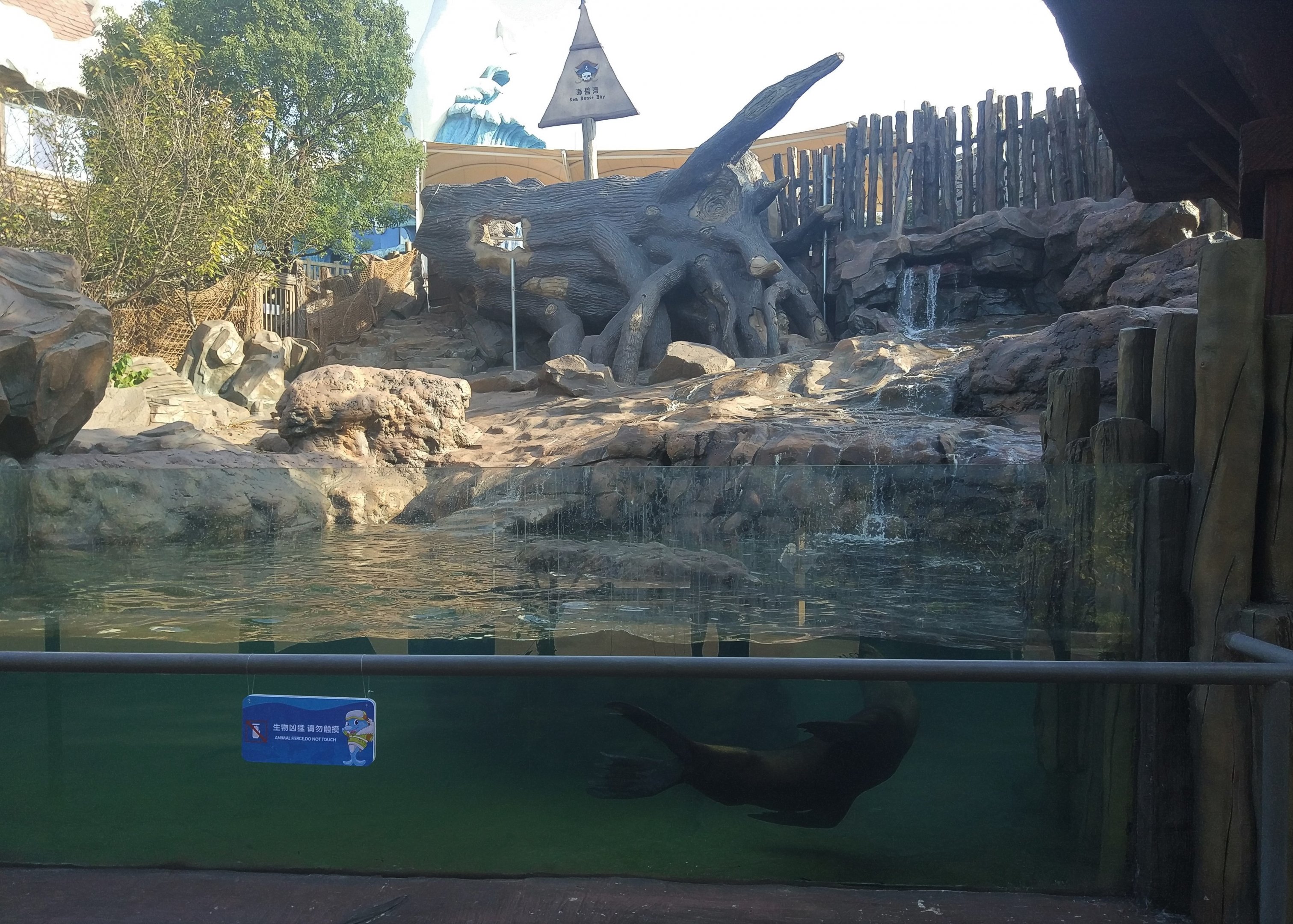 Stellar's Sea Lion