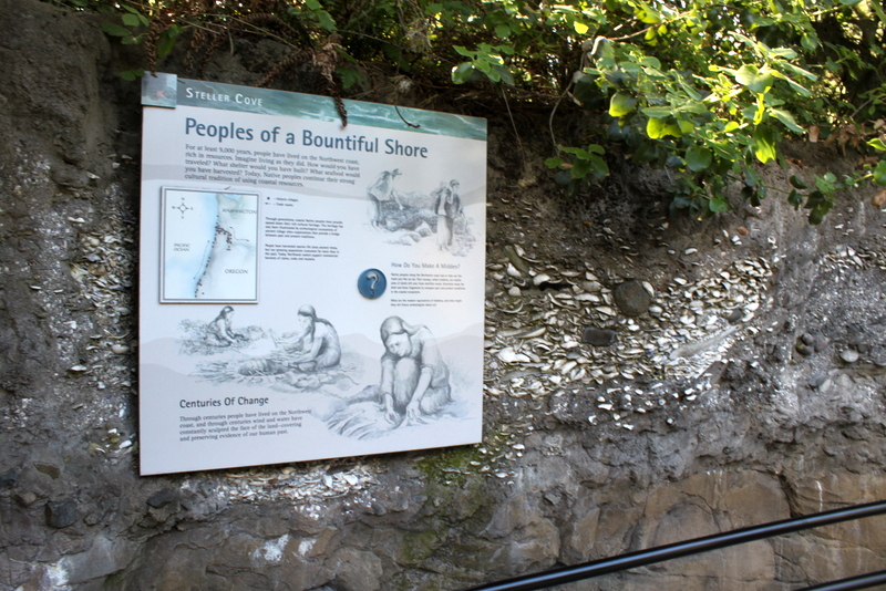 Steller Cove