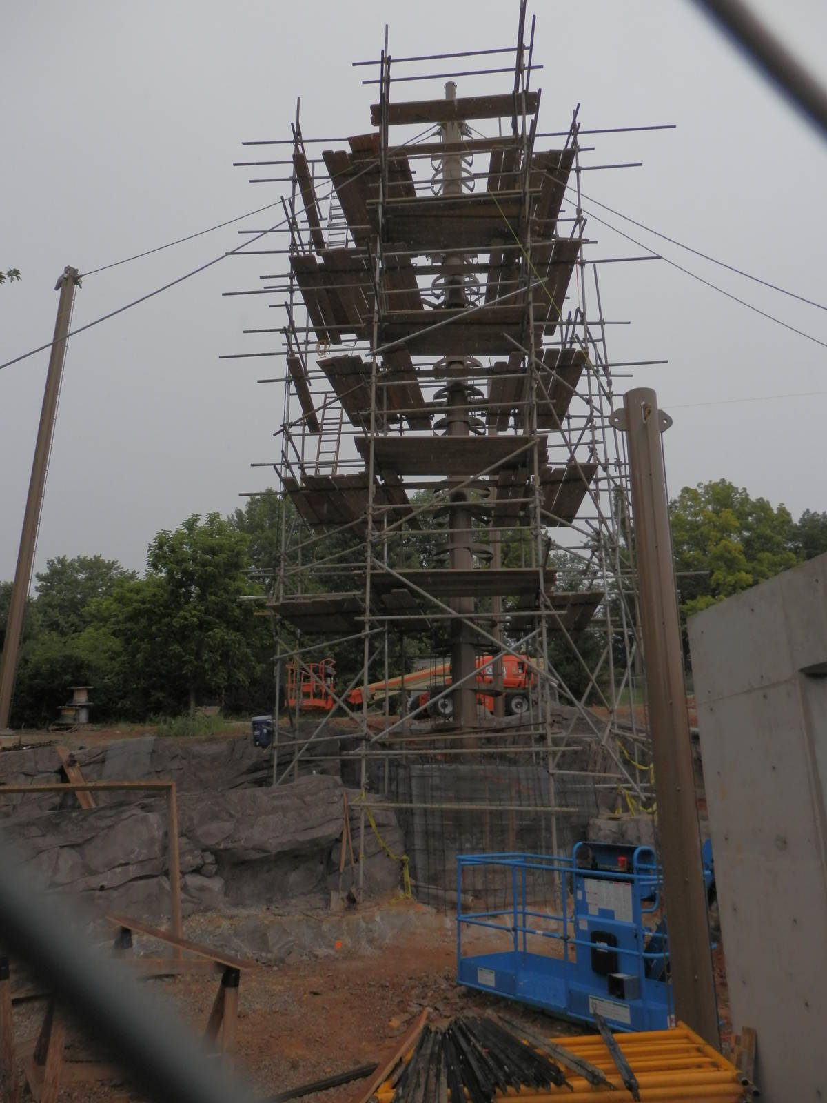 Steller Sea Eagle construction