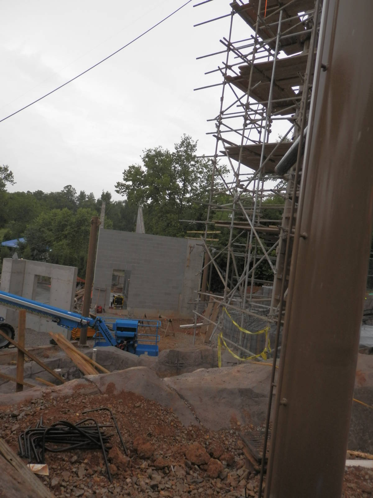 Steller Sea Eagle construction