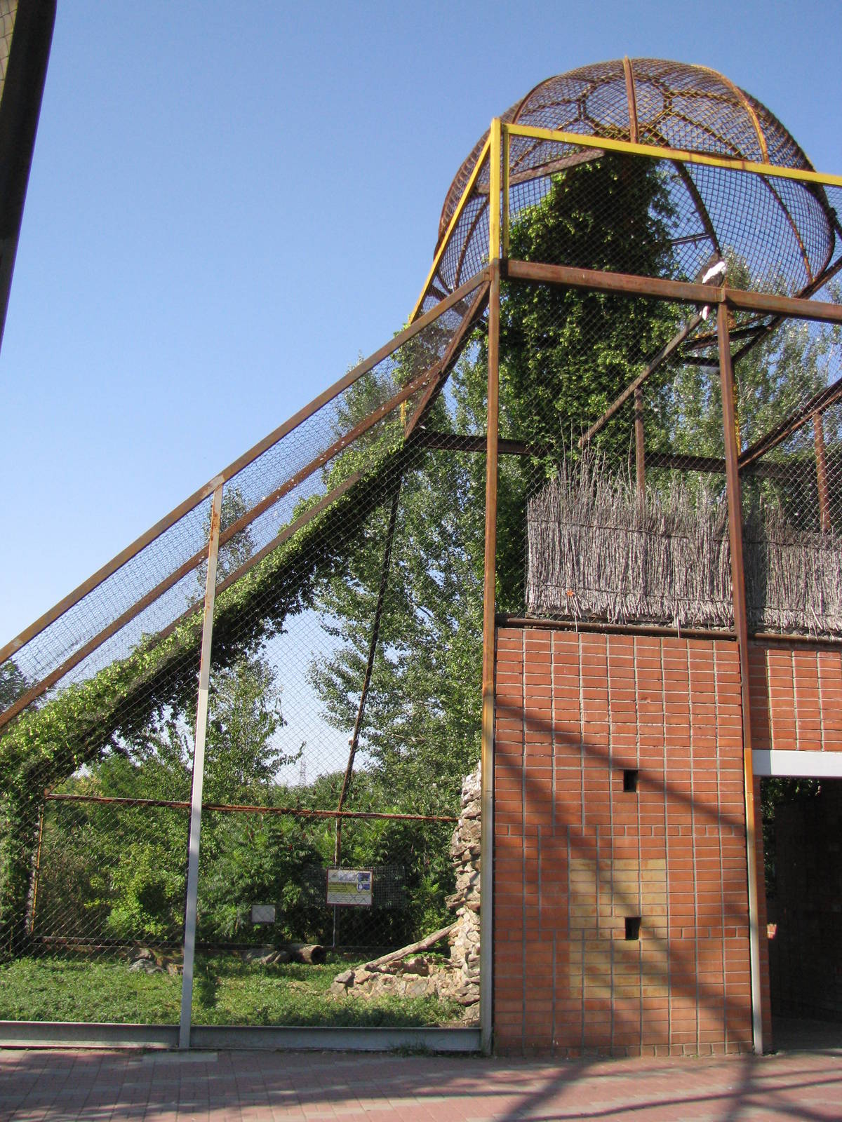 Steller sea eagle exhibit