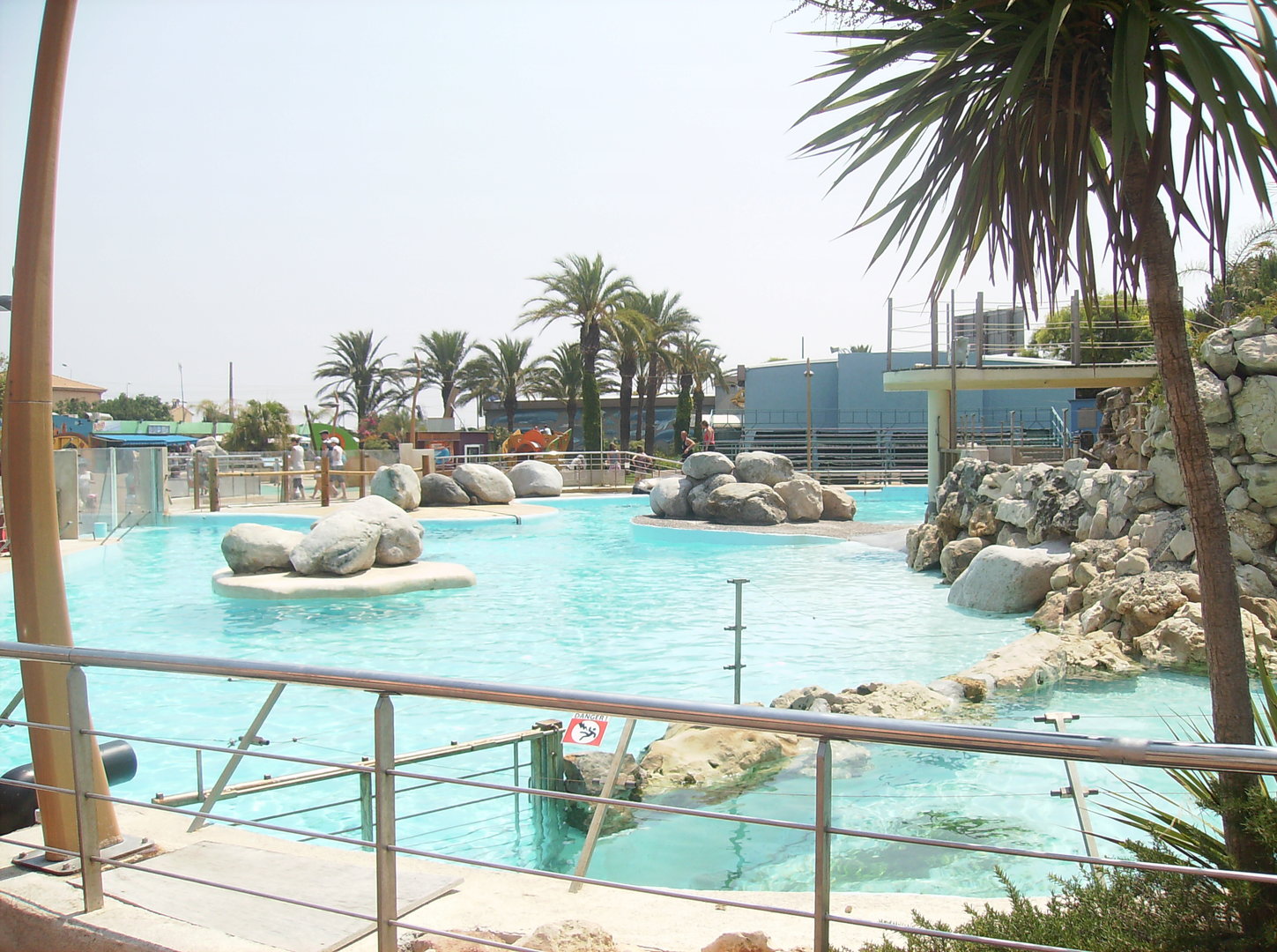 Steller sea lion exhibit - 2010
