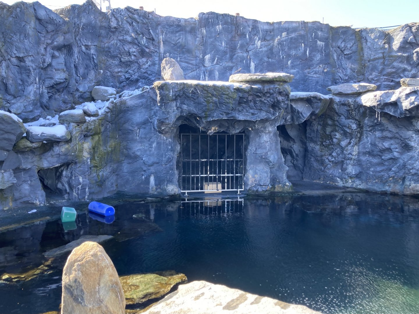 Steller Sea Lion Exhibit (with dungeon gate)